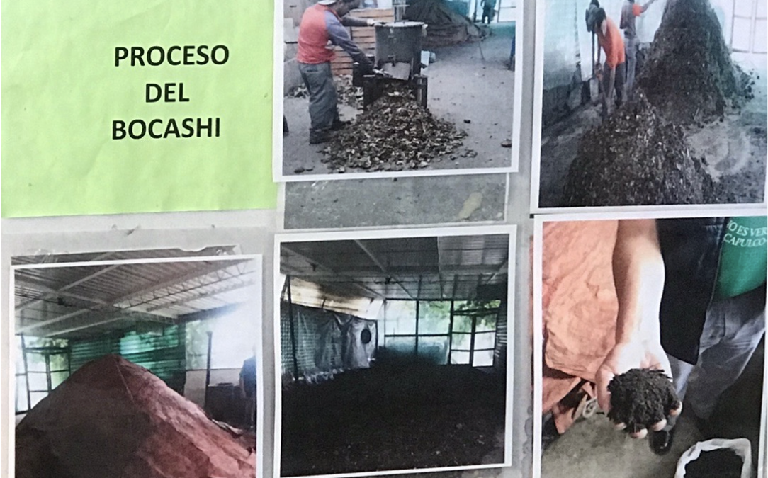 Foto de Marcela Treviño Feria